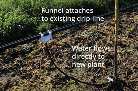 ONL Drip line Funnel